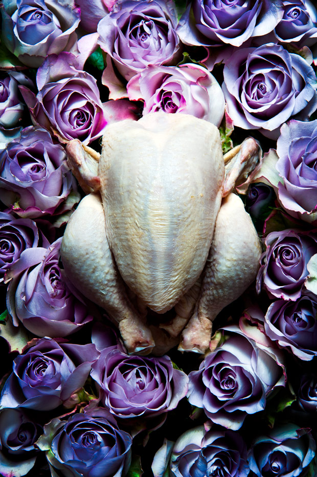 Huhn